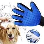 Image 7-23-25 at 11.07 AM