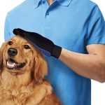 Image 7-27-25 at 8.17 AM