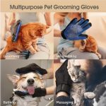 Image 8-2-25 at 10.18 AM