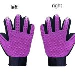 Image 8-4-25 at 10.41 AM