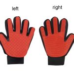 Image 8-4-25 at 10.42 AM