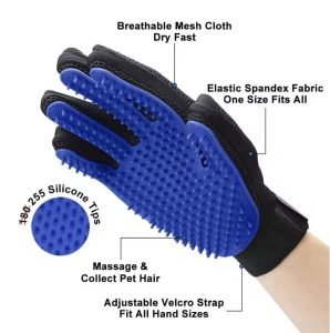 Image 7-23-25 at 10.56 AM