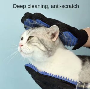 Image 7-23-25 at 11.02 AM