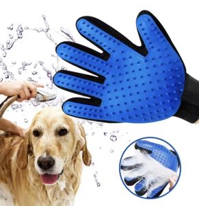 Image 7-23-25 at 11.07 AM