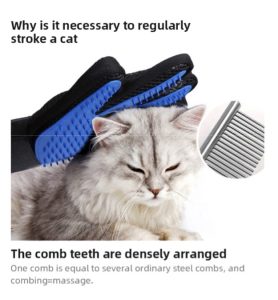 Image 7-26-25 at 1.15 PM